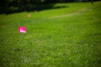 #127 Flagging Fee ADDTL Service