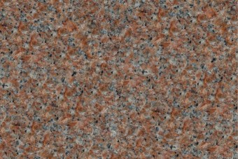 Morning Rose - Color Chip