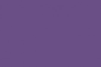 #3358 Engraving Color (Purple Litho) ADDTL Service