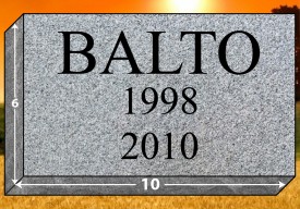 #2584 Pet Marker Gray Granite Size 10" long X 6" wide X 2" thick