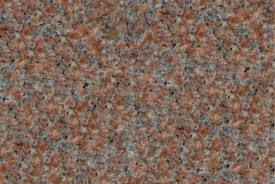 Morning Rose - Color Chip