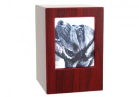 Pet Photo Urn MC