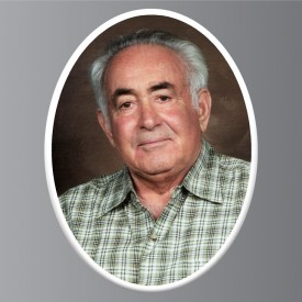 #166V 1.9x2.8 inches OC-2 Oval Porcelain Photo 