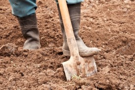 #1649 Burial Cremation Service ADDTL Service