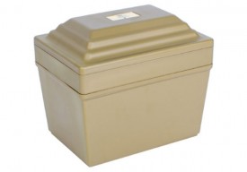 Guardian Vault with Riser MC